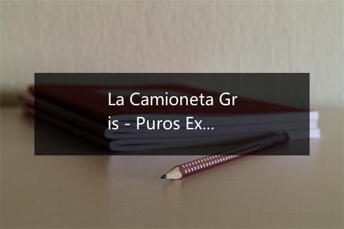 La Camioneta Gris - Puros Exitos Chingones!-歌词