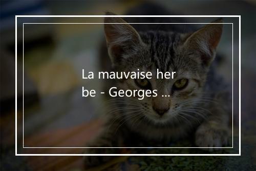 La mauvaise herbe - Georges Brassens-歌词