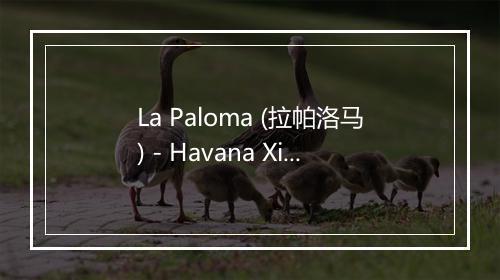 La Paloma (拉帕洛马) - Havana Xica-歌词