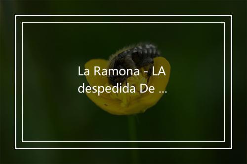 La Ramona - LA despedida De Soltero Del Miguel-歌词