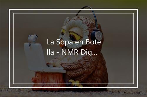 La Sopa en Botella - NMR Digital-歌词