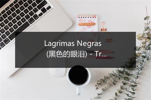 Lagrimas Negras (黑色的眼泪) - Trío Matamoros-歌词