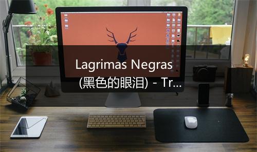 Lagrimas Negras (黑色的眼泪) - Trío Matamoros-歌词_1