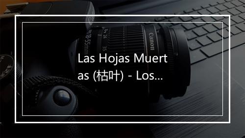 Las Hojas Muertas (枯叶) - Los 5 Latinos-歌词