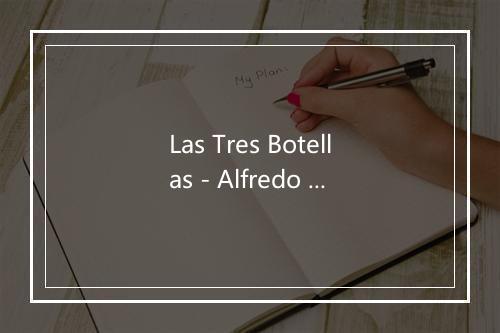 Las Tres Botellas - Alfredo Pineda-歌词