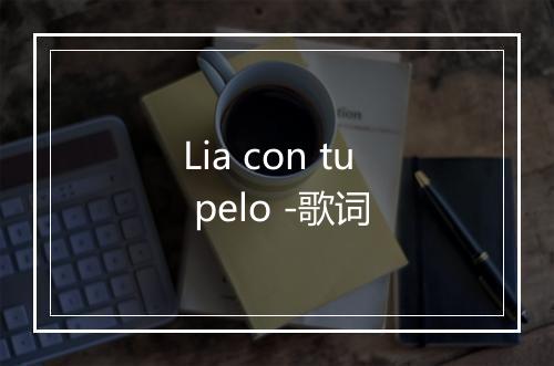 Lia con tu pelo -歌词