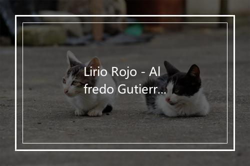 Lirio Rojo - Alfredo Gutierrez-歌词