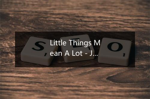 Little Things Mean A Lot - Jayne Mansfield-歌词