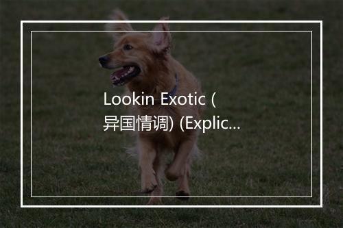 Lookin Exotic (异国情调) (Explicit) - Future (未来小子)-歌词