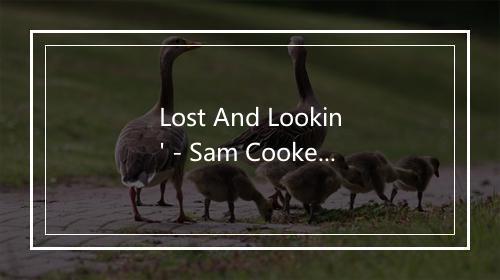 Lost And Lookin' - Sam Cooke (萨姆·库克)-歌词_2