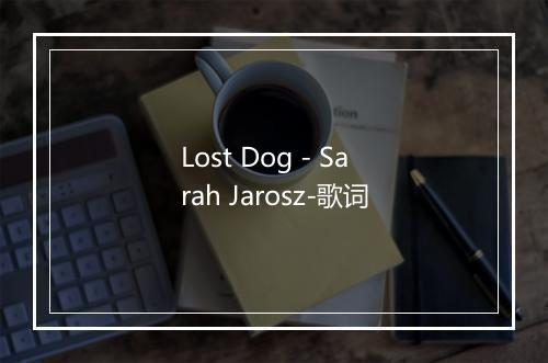 Lost Dog - Sarah Jarosz-歌词