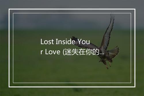 Lost Inside Your Love (迷失在你的爱里) - Enrique Iglesias (安立奎·伊格莱希亚斯)-歌词