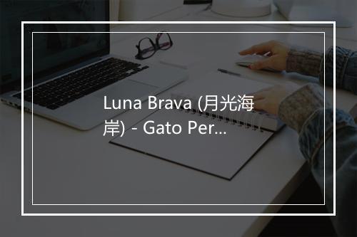 Luna Brava (月光海岸) - Gato Perez-歌词