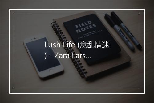 Lush Life (意乱情迷) - Zara Larsson (莎拉·拉尔森)-歌词