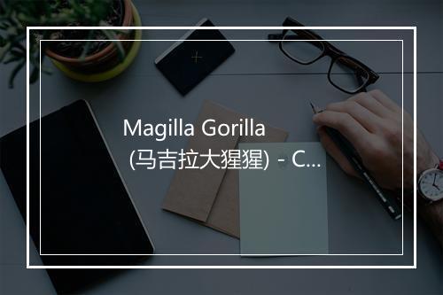 Magilla Gorilla (马吉拉大猩猩) - Cartoon Theme Players-歌词