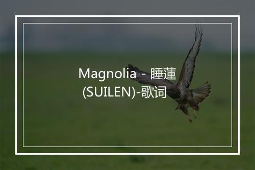 Magnolia - 睡蓮 (SUILEN)-歌词