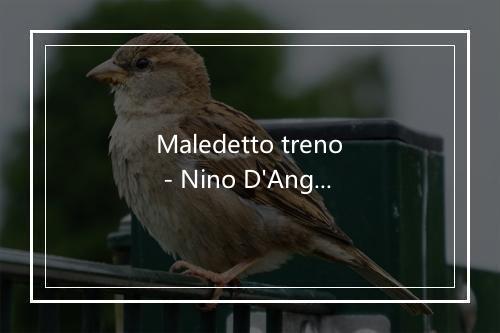 Maledetto treno - Nino D'Angelo-歌词