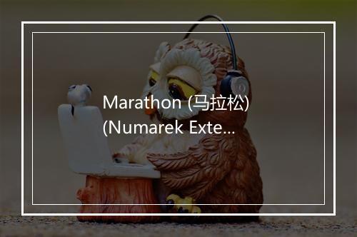 Marathon (马拉松) (Numarek Extended Mix) - Helene Fischer (海伦·菲舍尔)-歌词