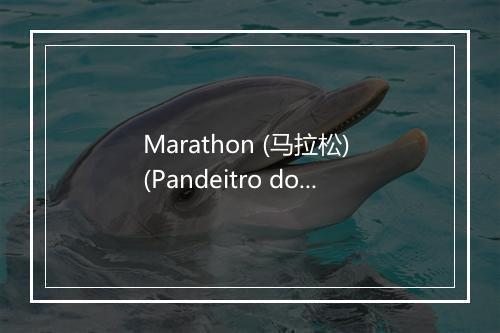 Marathon (马拉松) (Pandeitro do Brazil Extended Mix) - Helene Fischer (海伦·菲舍尔)-歌词