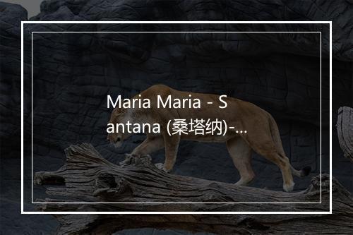 Maria Maria - Santana (桑塔纳)-歌词