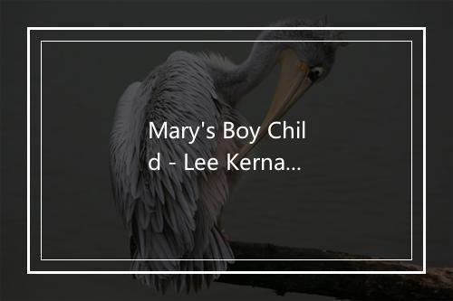 Mary's Boy Child - Lee Kernaghan-歌词