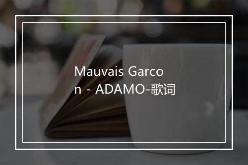 Mauvais Garcon - ADAMO-歌词