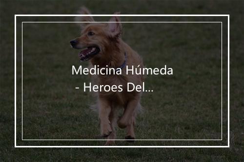 Medicina Húmeda - Heroes Del Silencio-歌词