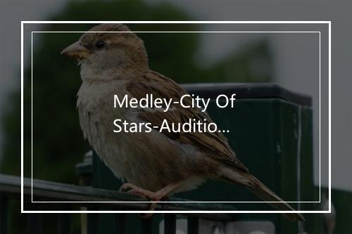 Medley-City Of Stars-Audition - John Legend -歌词