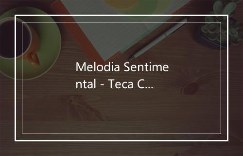 Melodia Sentimental - Teca Calazans-歌词