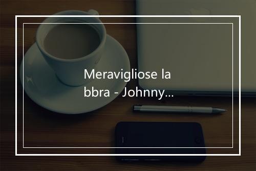 Meravigliose labbra - Johnny Dorelli-歌词