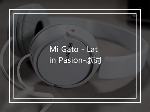 Mi Gato - Latin Pasion-歌词