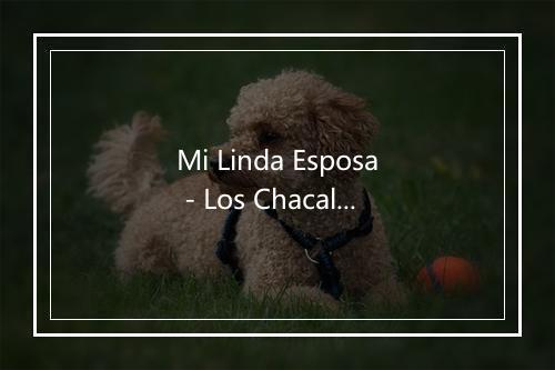 Mi Linda Esposa - Los Chacales De Pepe Tovar-歌词