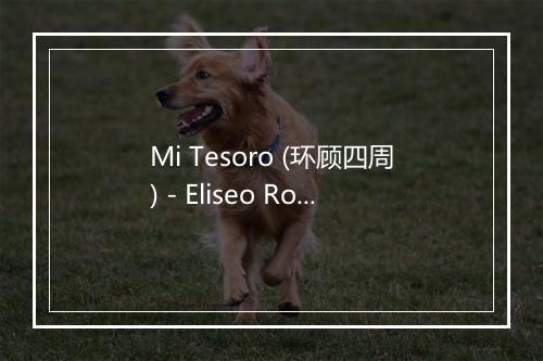 Mi Tesoro (环顾四周) - Eliseo Robles-歌词