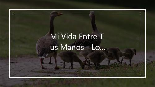 Mi Vida Entre Tus Manos - Los Nocheros-歌词