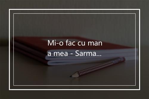 Mi-o fac cu mana mea - Sarmalele reci-歌词