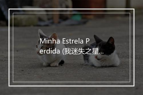 Minha Estrela Perdida (我迷失之星) - Villa Sertaneja-歌词