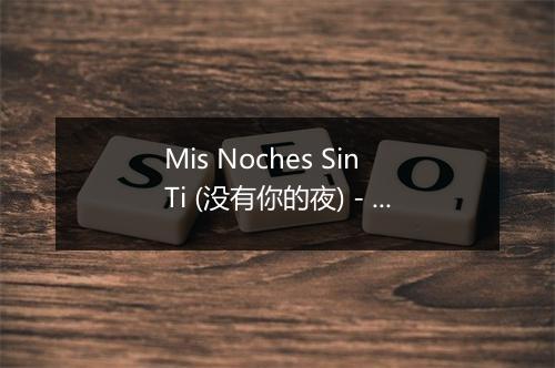 Mis Noches Sin Ti (没有你的夜) - La Panchita-歌词