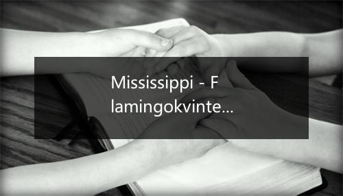 Mississippi - Flamingokvintetten-歌词