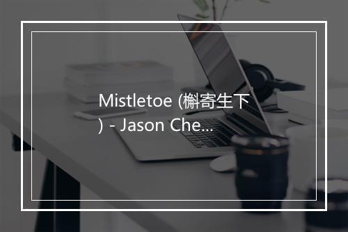 Mistletoe (槲寄生下) - Jason Chen (陈以桐)-歌词