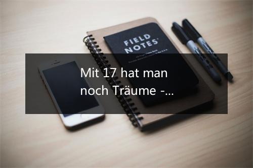 Mit 17 hat man noch Träume - Peggy March (佩姬·玛琪)-歌词_1