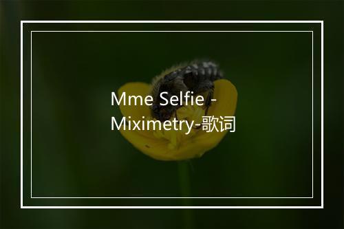 Mme Selfie - Miximetry-歌词