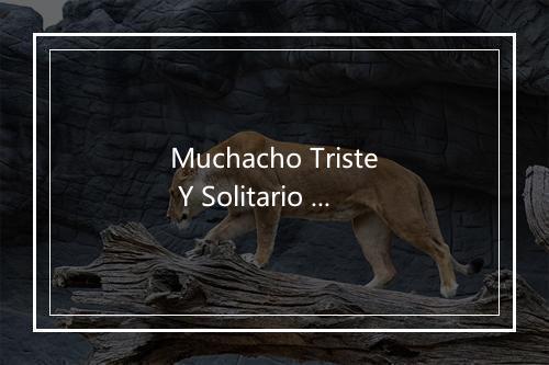 Muchacho Triste Y Solitario - Los Teen Tops-歌词