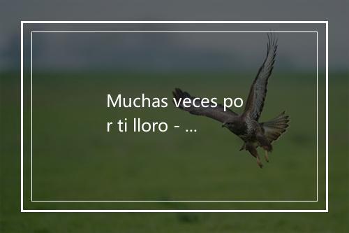 Muchas veces por ti lloro - Alci Acosta-歌词