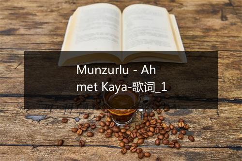 Munzurlu - Ahmet Kaya-歌词_1