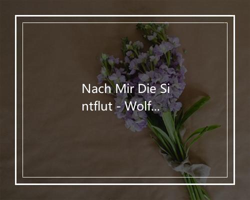 Nach Mir Die Sintflut - WolfgangAmbros-歌词