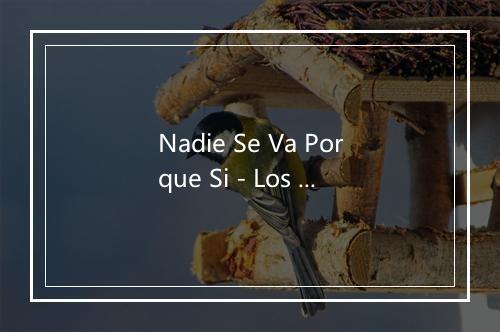 Nadie Se Va Porque Si - Los Tucu Tucu-歌词