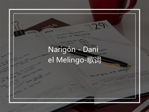 Narigón - Daniel Melingo-歌词