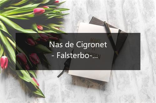 Nas de Cigronet - Falsterbo-歌词