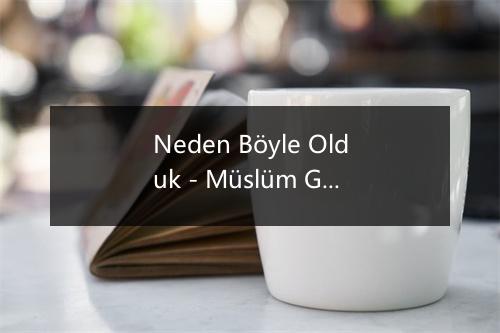 Neden Böyle Olduk - Müslüm Gürses-歌词