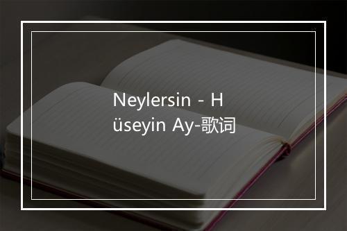 Neylersin - Hüseyin Ay-歌词